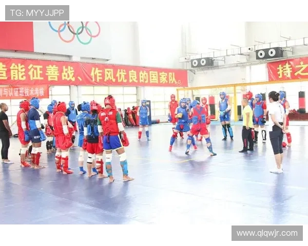 西安羽毛球队在锦标赛中的战术运用与表现分析探讨